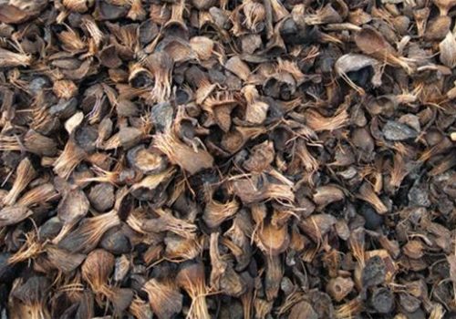Palm_Kernel_Shell Palm_Kernel_Shell